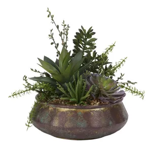 Assorted Succulents, Aloe, and Jade Plant in Small Virtu Planter