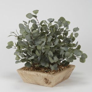 Eucalyptus in a Square Wooden Bowl