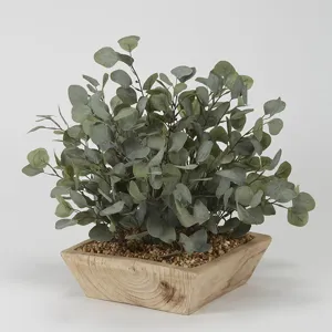 Eucalyptus in a Square Wooden Bowl