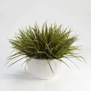 Wild Grass in White Bowl