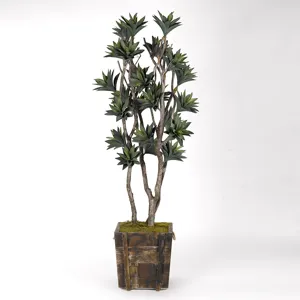 7' Green Agave Tree in Square Wooden Planter w/Rope Handles