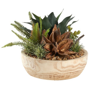 Star Pod, Fern, and Succulents in Ambrose Planter