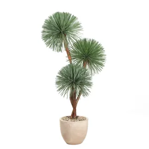 Yucca Rostrata in Grove Planter 7&prime;