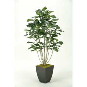 Fiddle Leaf Fig Plant in Square Metal Planter