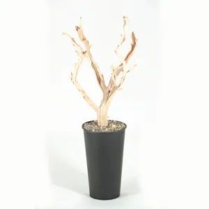 Ghostwood Trunks in Round Metal Planter