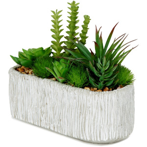 Assorted Succulents in Oblong Cement Planter