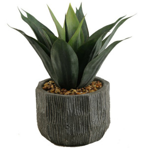 Red/Green Agave Plant in Ceramic Planter