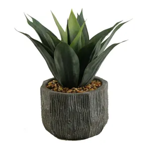 Red/Green Agave Plant in Ceramic Planter