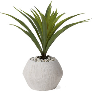 Green Lily Grass in White Ezra Bowl