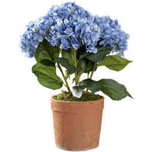 Blue Hydrangeas in Trove Planter