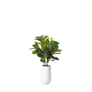 Natural Touch Fiddle Leaf Fig Plant in Quinn Planter 4&prime;