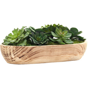 Mixed Echeverias in Ambrose Oval Bowl