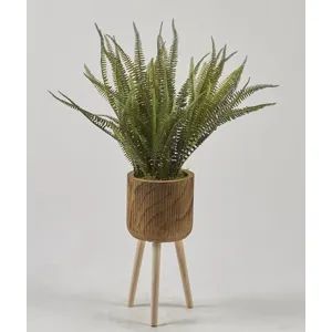 Boston Fern in Wood Planter with Wood Legs