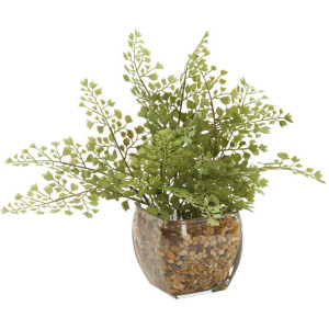 Maiden Hair Fern in Bevel Vase