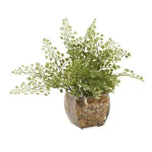 Maiden Hair Fern in Bevel Vase