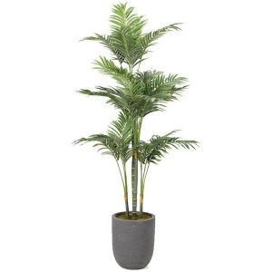 Golden Palm Tree in Round Grey Planter