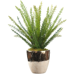 Heather Fern in Plateau Vase