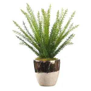Heather Fern in Plateau Vase