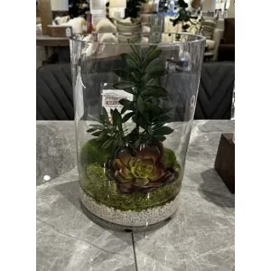Jade, Aloe &amp; Succulents in Glass Cylinder