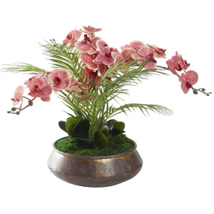 Red/Cream Phael Orchids in Small Virtu Planter