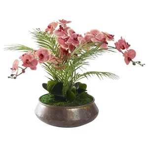 Red/Cream Phael Orchids in Small Virtu Planter