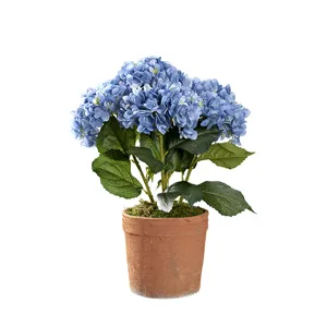 Blue Hydrangeas in Trove Planter