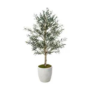 7.5&prime; Olive in White Hudson Planter