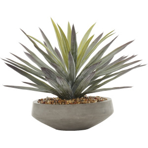 Agave in Newport Bowl