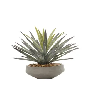 Agave in Newport Bowl