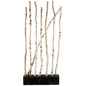 7&prime; Birch Screen in Rectangle Planter