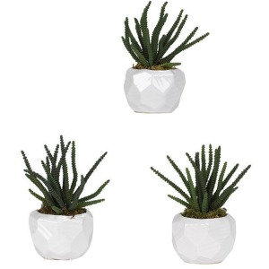 Worm Succulent in Glossy White Ceramic - Set of 3