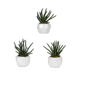 Worm Succulent in Glossy White Ceramic - Set of 3