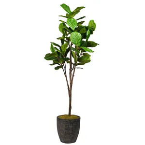7&prime; Fiddle Leaf Fig Tree in Large Sawyer Planter