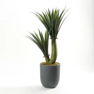 Yucca Heads in Medium Grey Clay Planter