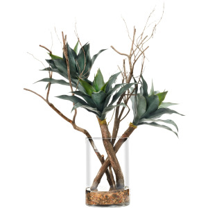 Agave Plant and Dragonwood in Large Glass Vase