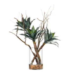 Agave Plant and Dragonwood in Large Glass Vase