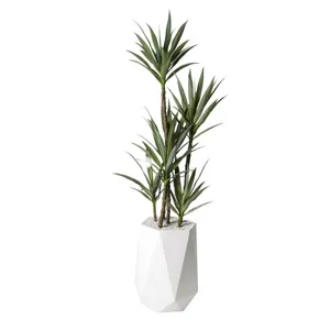 Yucca Tree in White Resin Planter