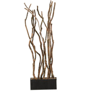 7&prime; Dragon Wood Screen in Rectangle Planter
