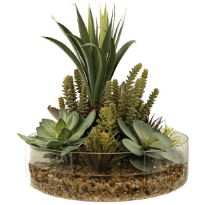 Yucca & Assorted Succulents in Lowry Vase