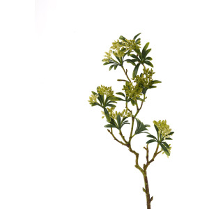 Green Flower Bud Spray