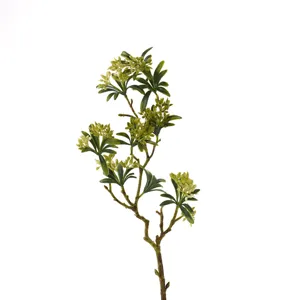 Green Flower Bud Spray