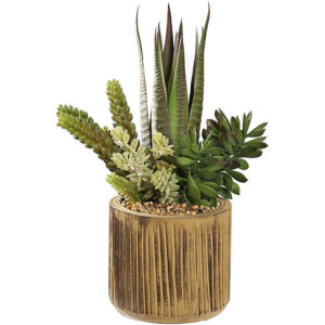 Agave & Assorted Succulents in Wood Stain Wash Planter