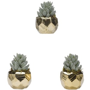 Flocked Aloe in Antique Gold Ceramic Planter - Set of 3