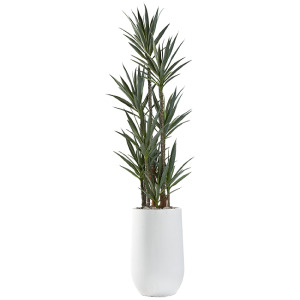 Dracaena Tree in Quinn Planter