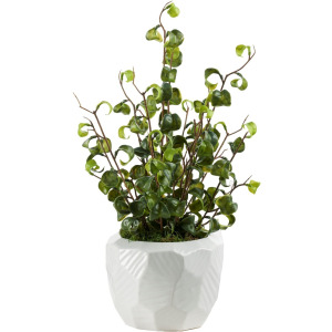 Benjamin Ficus in Medium White Geometric Planter