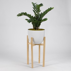 Zamifolia Plant in White Planter w/Wood Stand