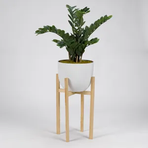 Zamifolia Plant in White Planter w/Wood Stand