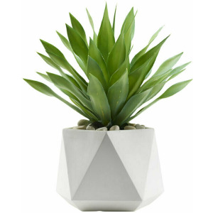 Large Desert Succulent In Medium Grey Hexagon Planter
