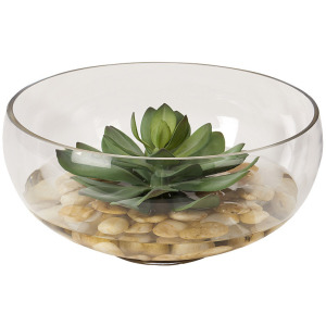 Extra Large Frosted Green Echeveria in Glass Bowl