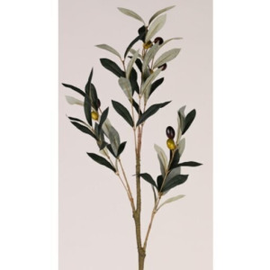 Olive Spray with Fruit